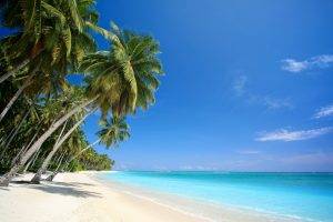beach, Palm Trees, Sea, Landscape, Nature