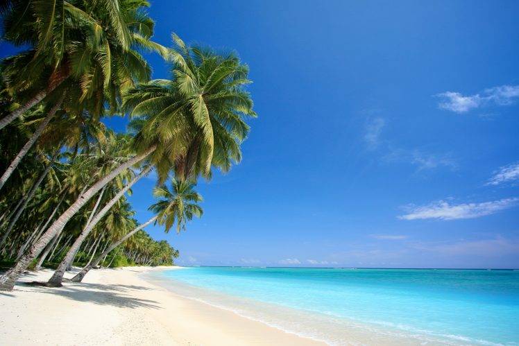 beach, Palm Trees, Sea, Landscape, Nature HD Wallpaper Desktop Background