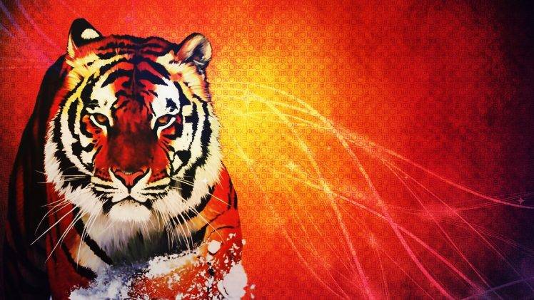 tiger, Orange, Animals, Wildlife HD Wallpaper Desktop Background