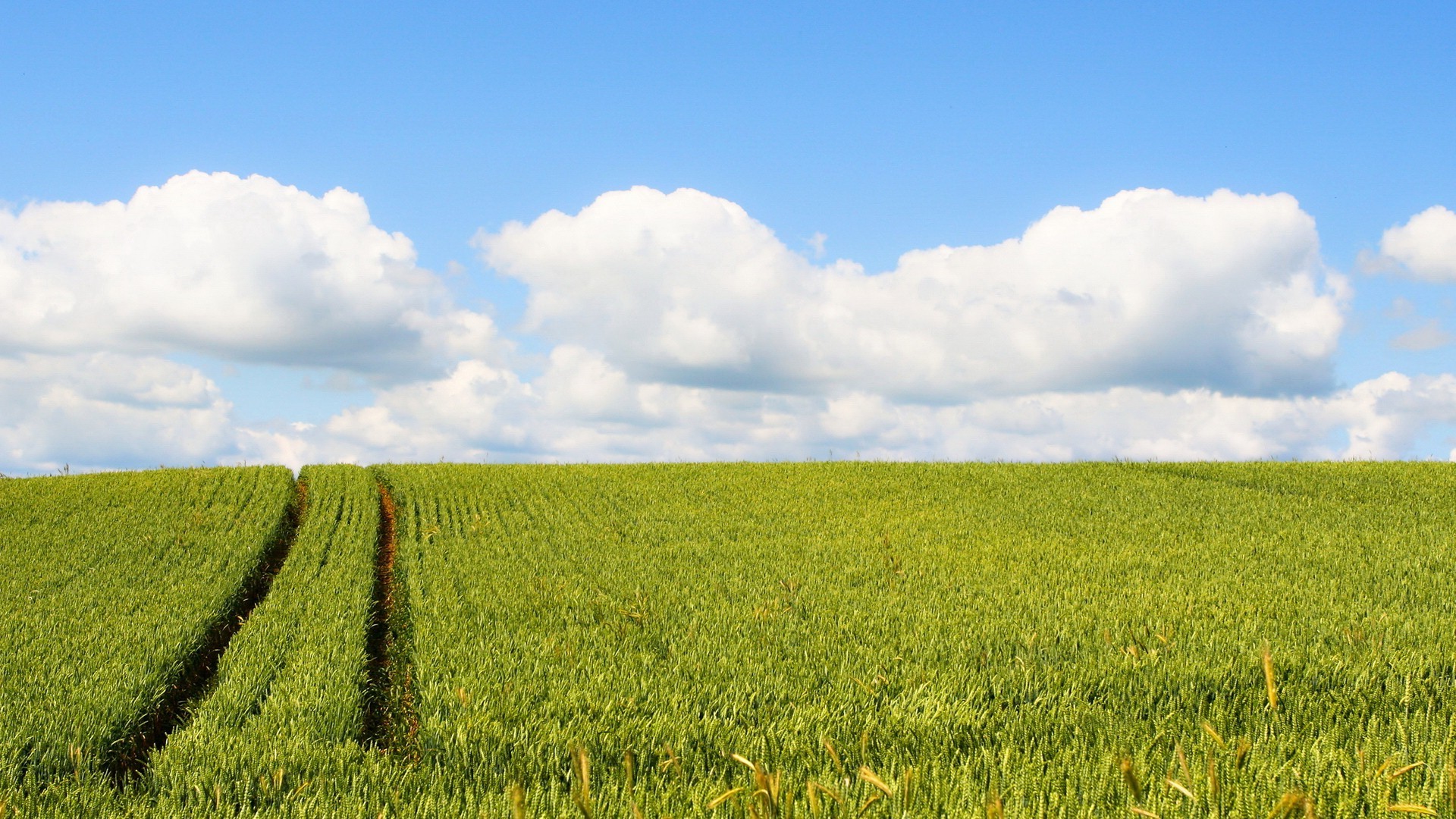nature, Landscape Wallpaper
