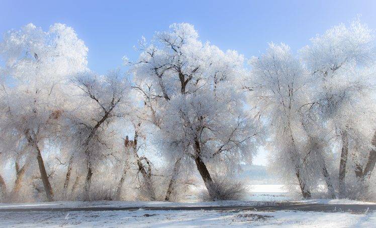 winter, Snow, Landscape, Nature, Trees HD Wallpaper Desktop Background