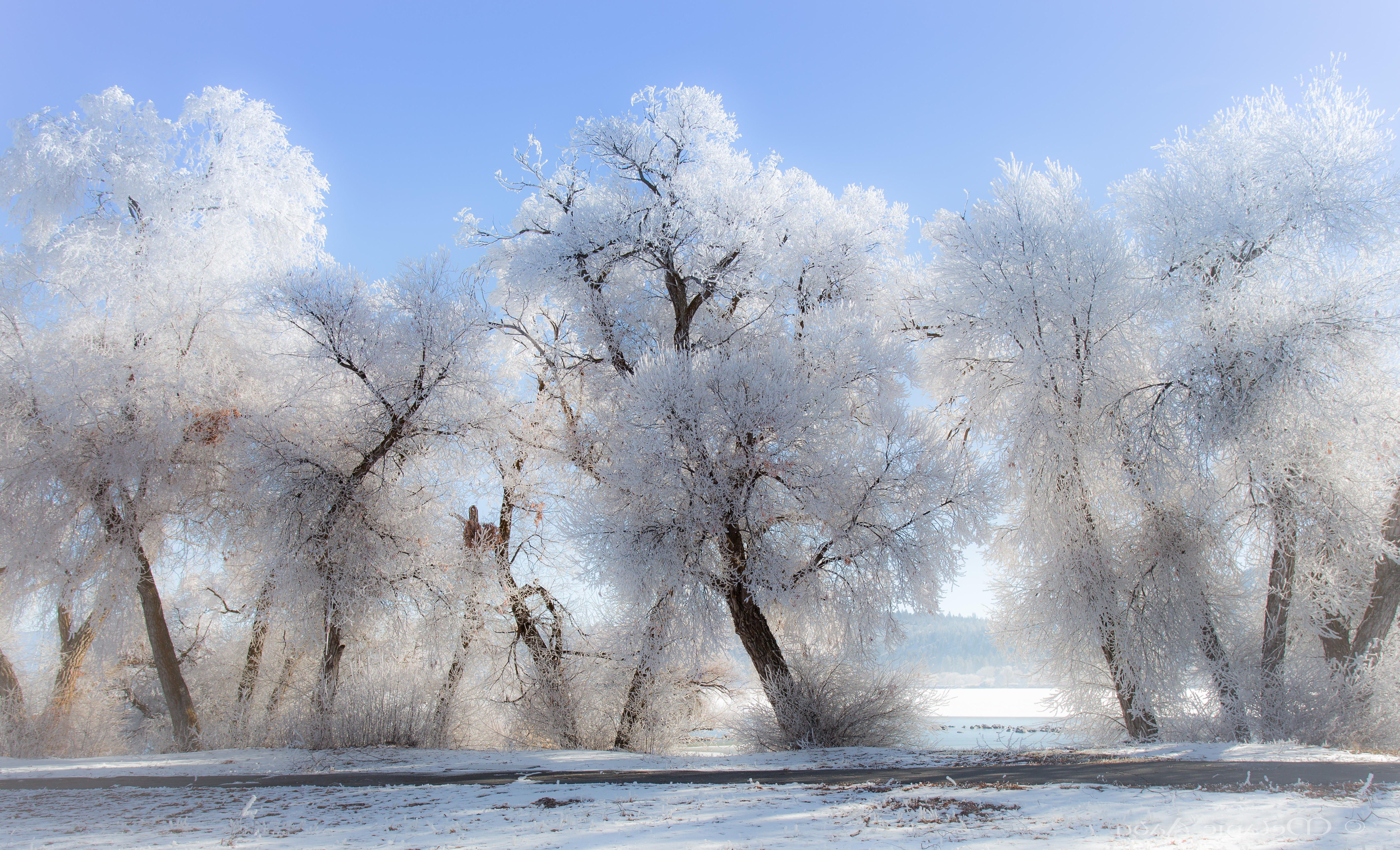 winter, Snow, Landscape, Nature, Trees Wallpaper