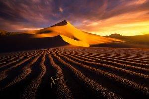 desert, Landscape, Dune