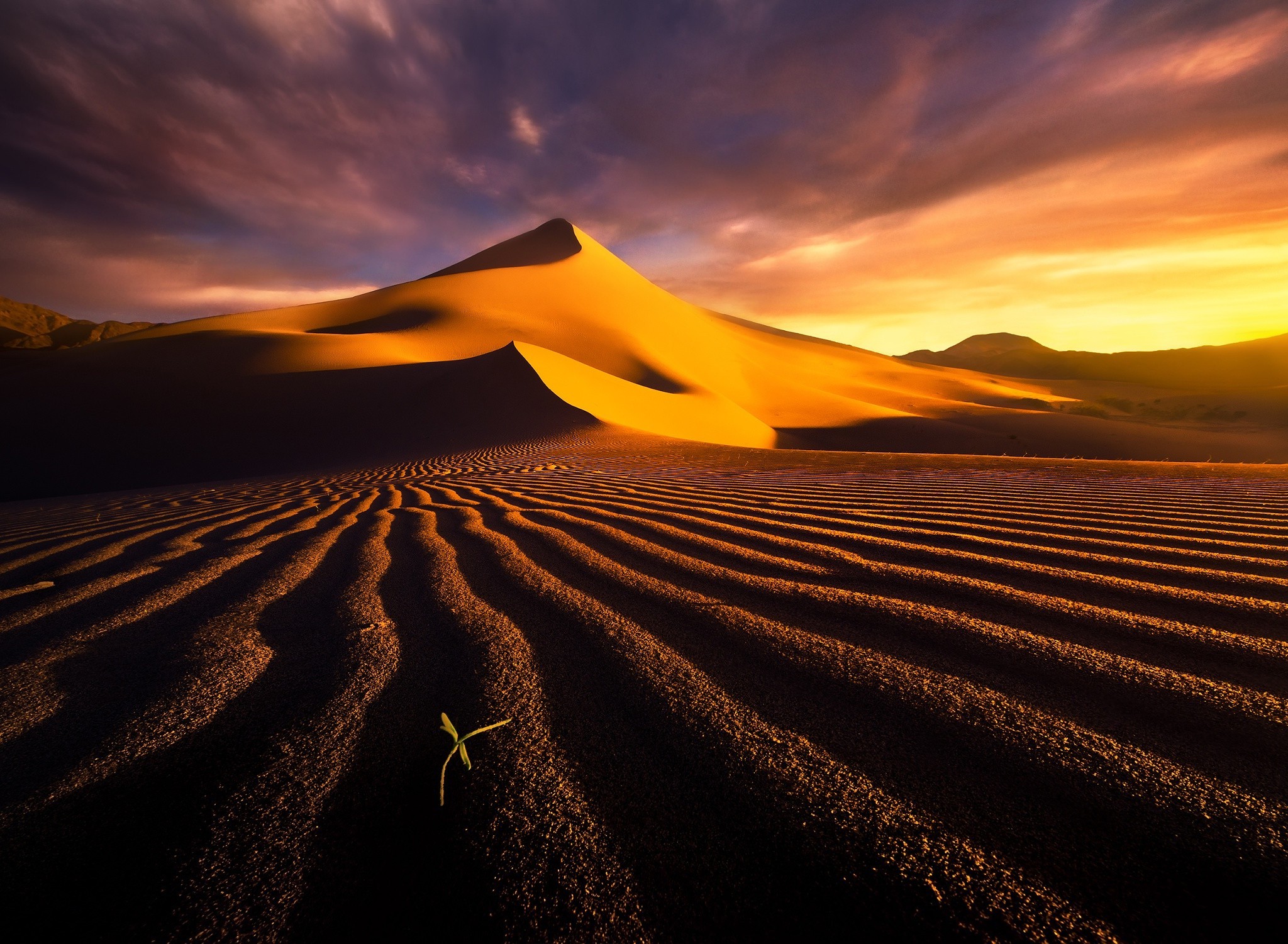 desert, Landscape, Dune Wallpaper