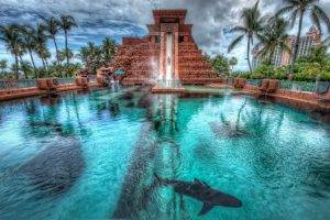 nature, HDR, Building, Shark, Architecture, Palm Trees, Animals