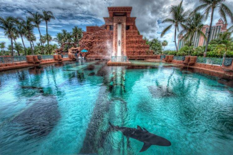 nature, HDR, Building, Shark, Architecture, Palm Trees, Animals HD Wallpaper Desktop Background