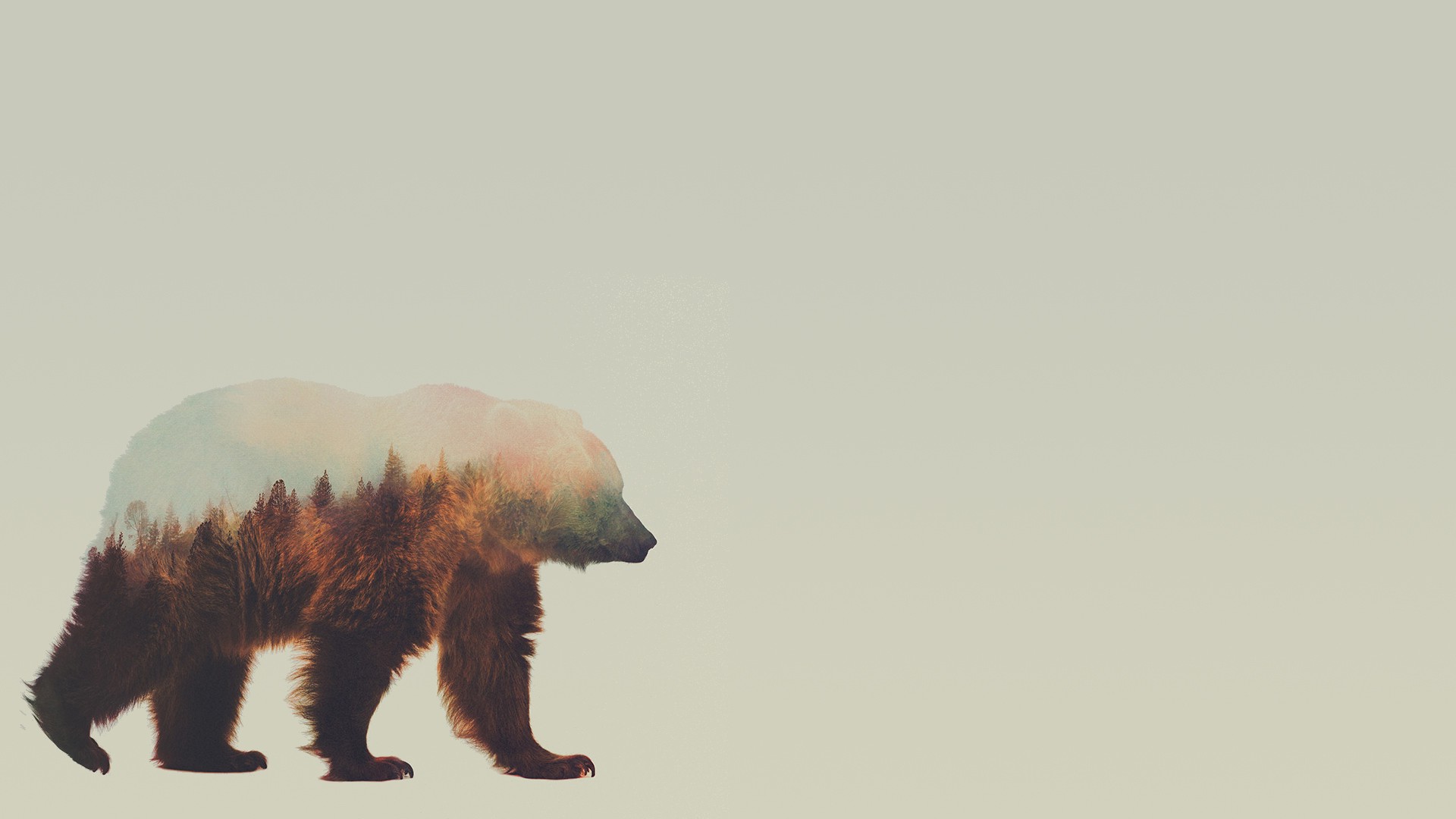 медведь льдина минимализм bear floe minimalism загрузить