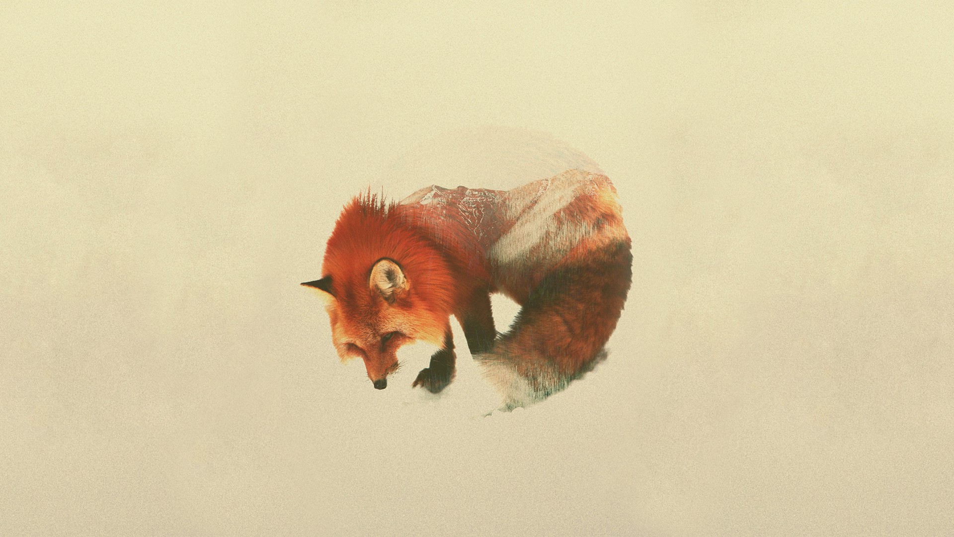 Double Exposure, Andreas Lie, Animals Wallpaper