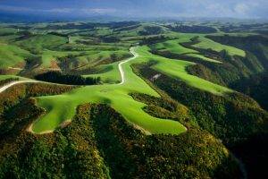 field, Road, Grass, Hill, Aerial View, Green, New Zealand, Nature, Landscape