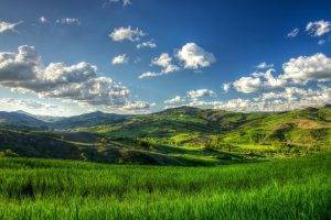nature, Landscape, Trees, Clouds, Hill, Field, Grass, Forest