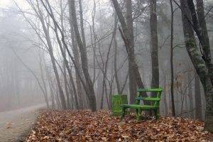 nature, Mist, Trees, Path, Leaves, Bench