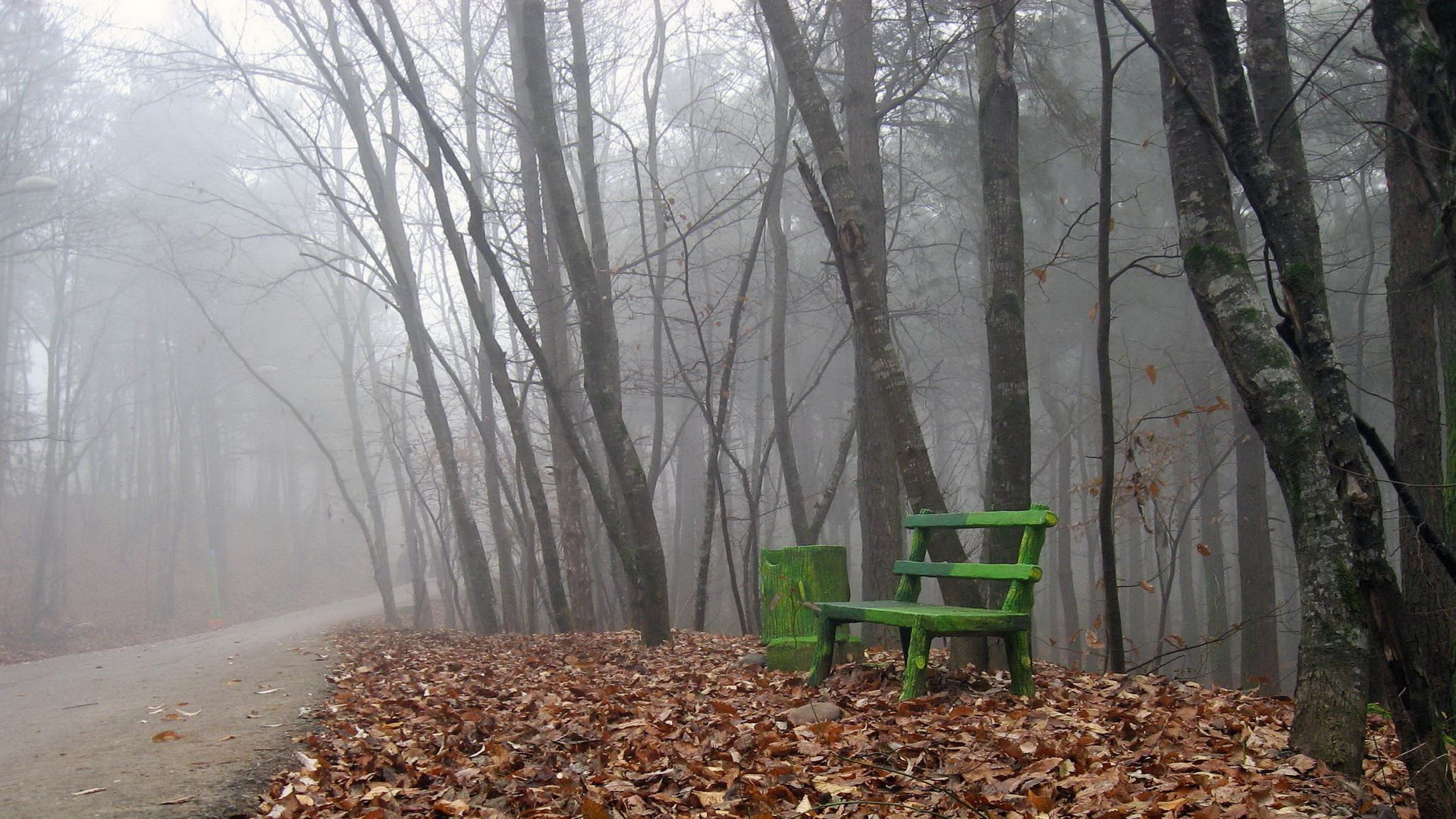 nature, Mist, Trees, Path, Leaves, Bench Wallpaper