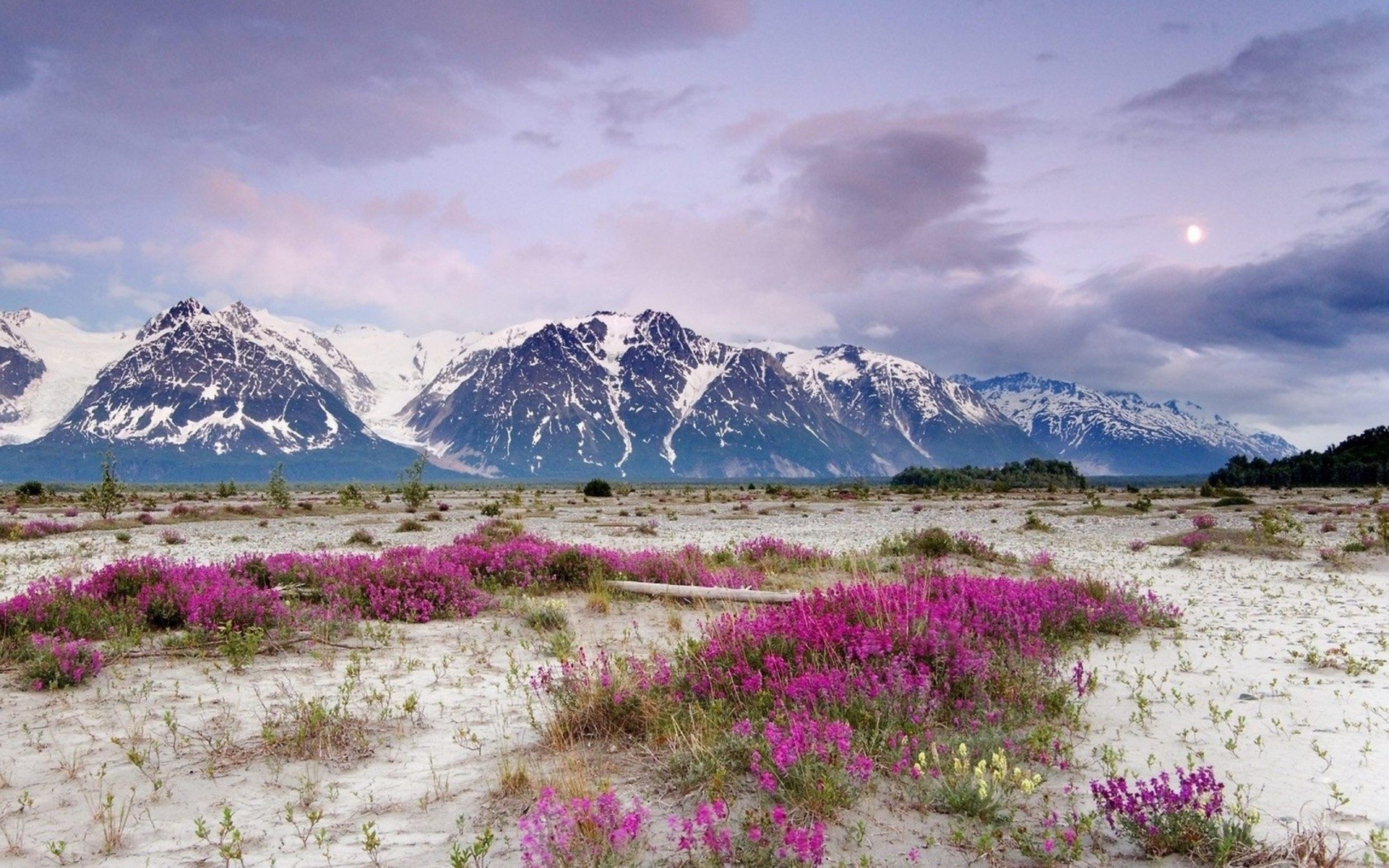 nature, Landscape Wallpaper