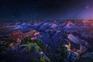 Arizona, Grand Canyon, Starry Night, Long Exposure, Shrubs, Erosion, Panoramas, Nature, Landscape