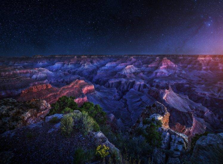 Arizona, Grand Canyon, Starry Night, Long Exposure, Shrubs, Erosion, Panoramas, Nature, Landscape HD Wallpaper Desktop Background