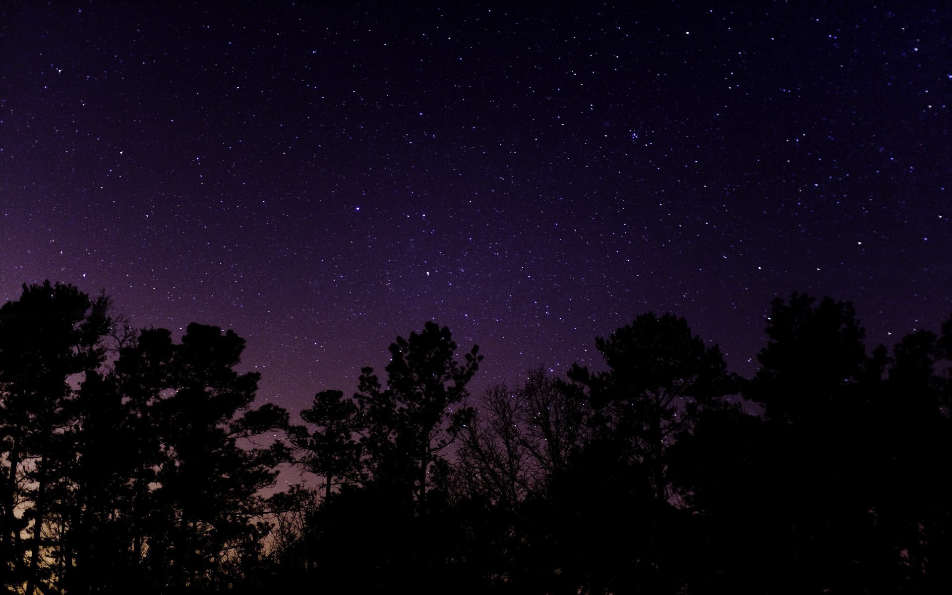 stars, Night, Landscape, Starry Night, Trees, Long Exposure Wallpapers