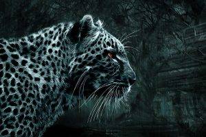 animals, Simple Background, Leopard