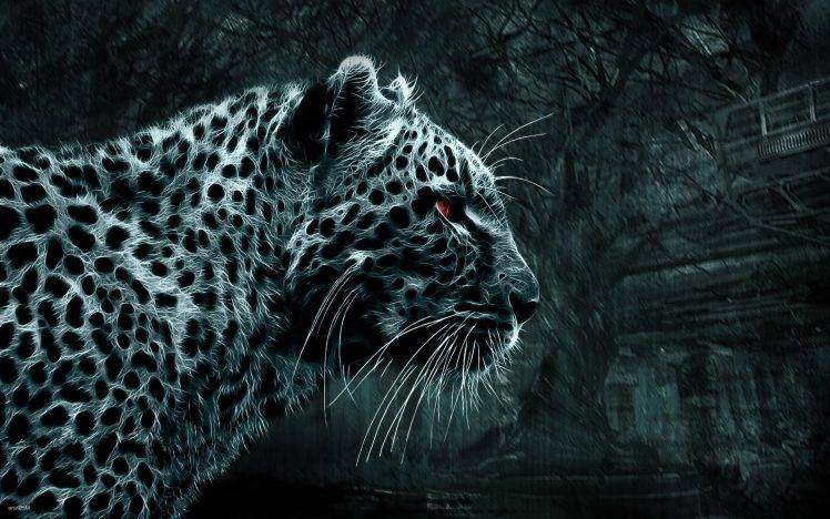 animals, Simple Background, Leopard HD Wallpaper Desktop Background