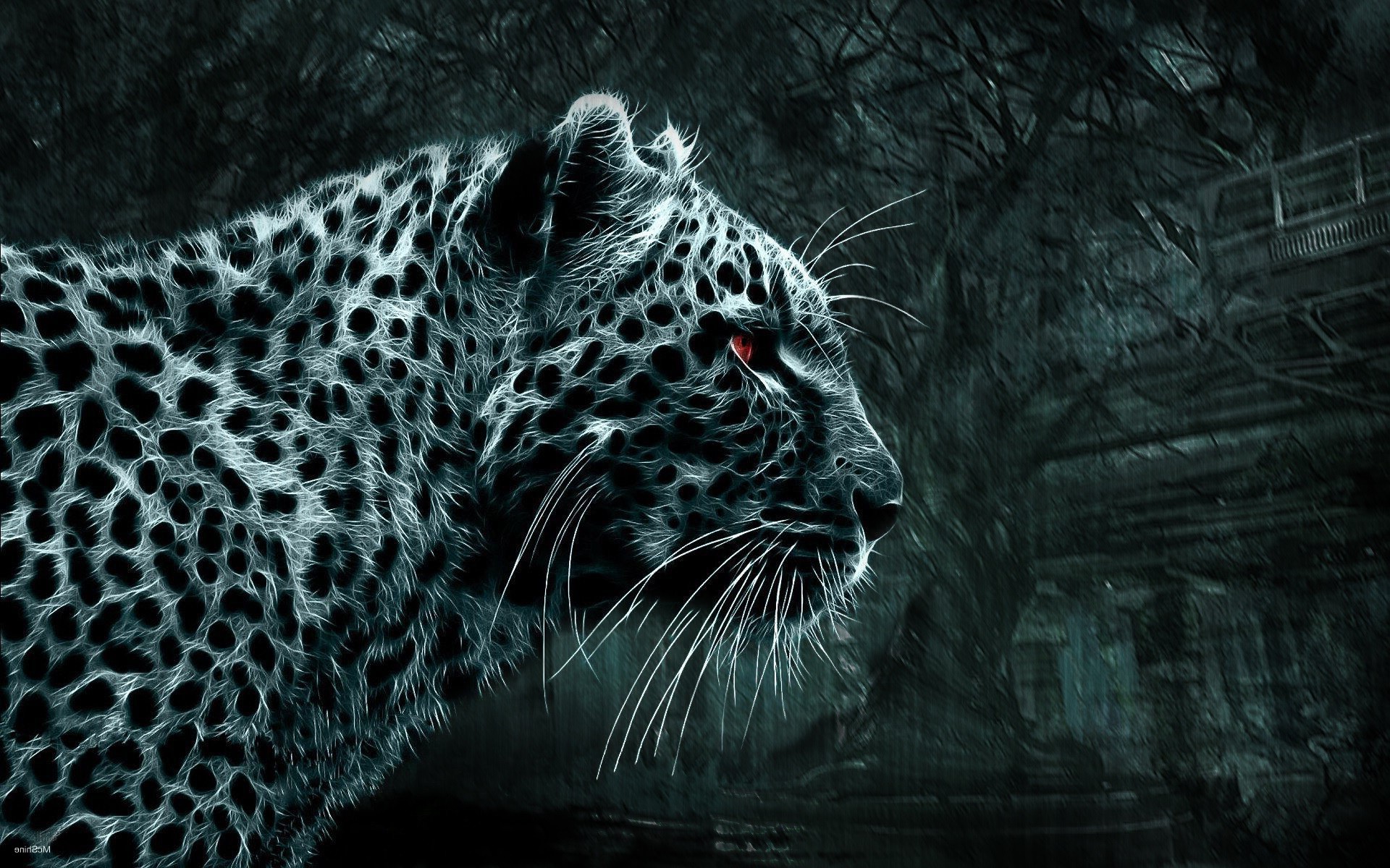 animals, Simple Background, Leopard Wallpaper
