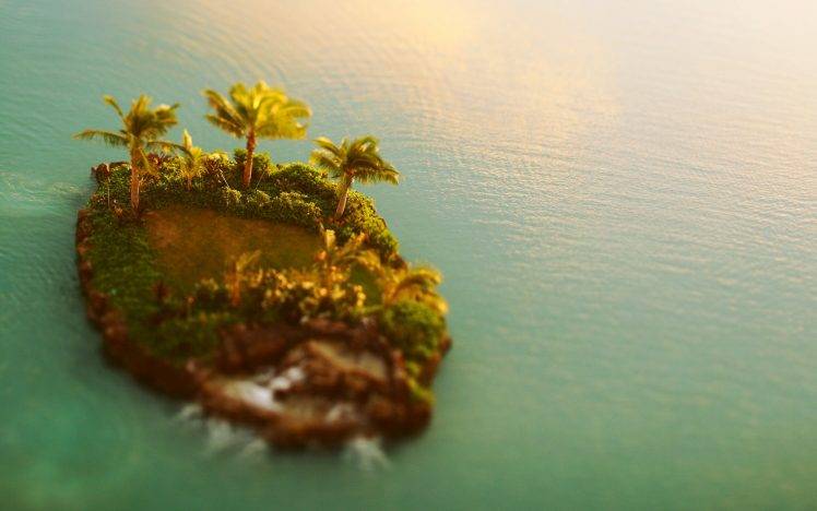 nature, Macro, Island, Sea, Motu HD Wallpaper Desktop Background