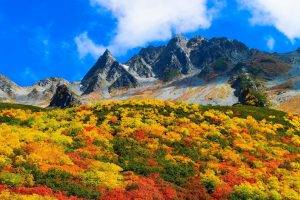 fall, Mountain, Shrubs, Clouds, Blue, Yellow, Green, Red, Japan, Nature, Landscape