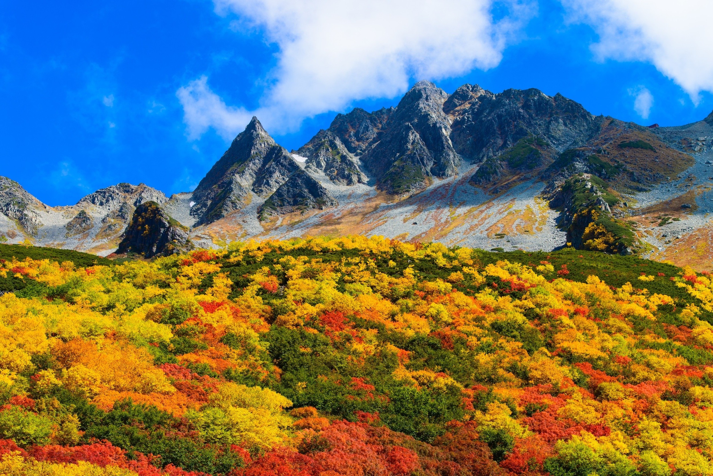 fall, Mountain, Shrubs, Clouds, Blue, Yellow, Green, Red, Japan, Nature, Landscape Wallpaper