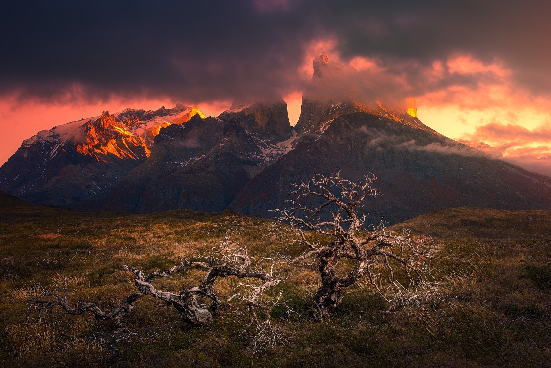 mountain, Sunset, Torres Del Paine, Patagonia, Chile, Dead Trees, Clouds, Grass, Snowy Peak, Nature, Landscape Wallpaper