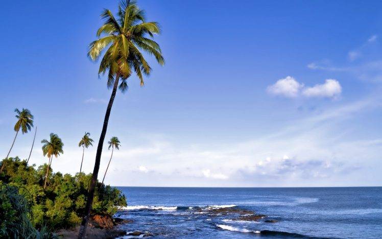 nature, Landscape, Palm Trees, Island, Coast HD Wallpaper Desktop Background