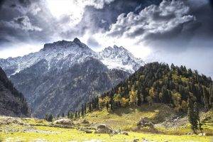 fall, Mountain, Forest, Clouds, Snowy Peak, Trees, Kashmir, Grass, Nature, Landscape