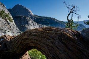 nature, Landscape, Mountain, Trees, Yosemite National Park, California
