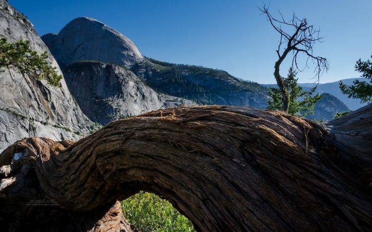 nature, Landscape, Mountain, Trees, Yosemite National Park, California HD Wallpaper Desktop Background