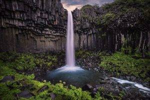 waterfall, Iceland, Columns, Shrubs, Nature, Landscape