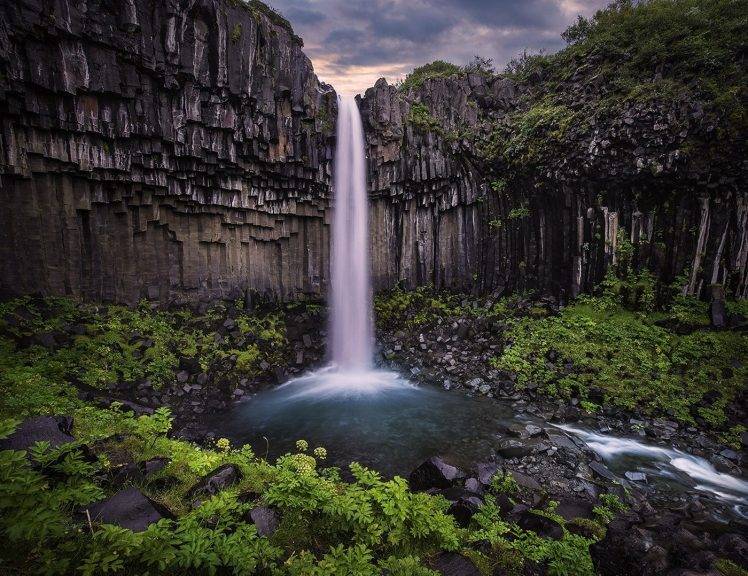waterfall, Iceland, Columns, Shrubs, Nature, Landscape HD Wallpaper Desktop Background