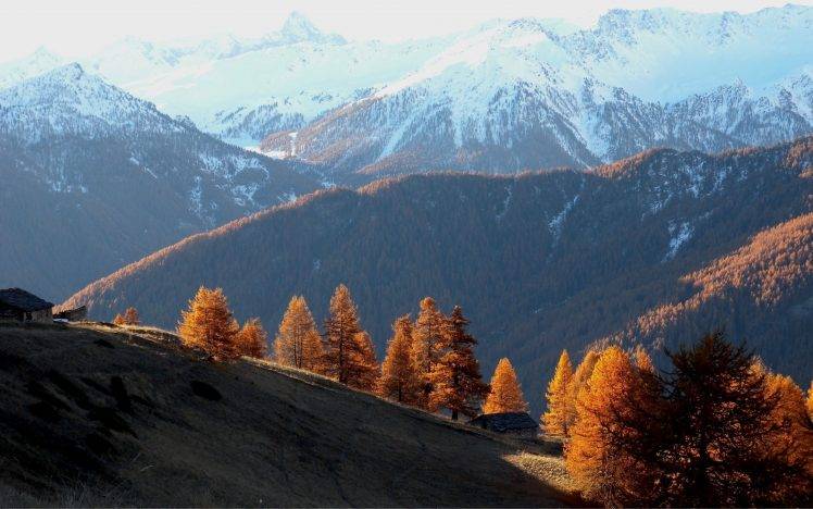 nature, Landscape, Mountain, Forest HD Wallpaper Desktop Background