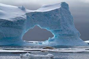iceberg, Landscape, Nature, Sea, Seals