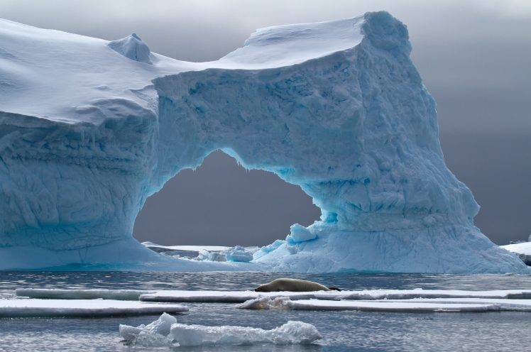 iceberg, Landscape, Nature, Sea, Seals HD Wallpaper Desktop Background