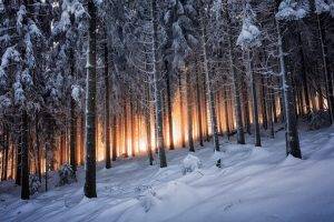 nature, Landscape, Mountain, Trees, Forest, Winter, Sunrise, Germany, Snow, Black, White, Yellow