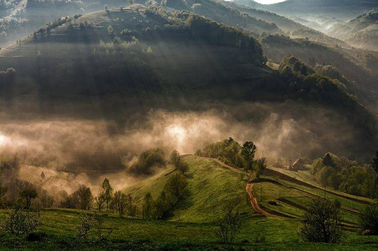 nature, Landscape, Mountain, Trees, Sun Rays, Mist, Morning, Forest, Village, Lights, Grass HD Wallpaper Desktop Background
