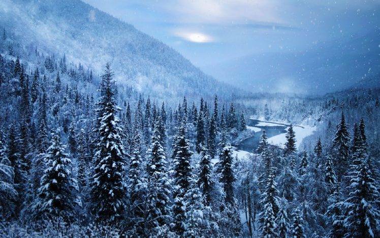landscape, Alaska, Snow, Nature, Mountain, Forest, Winter, River, Trees, White, Cold HD Wallpaper Desktop Background