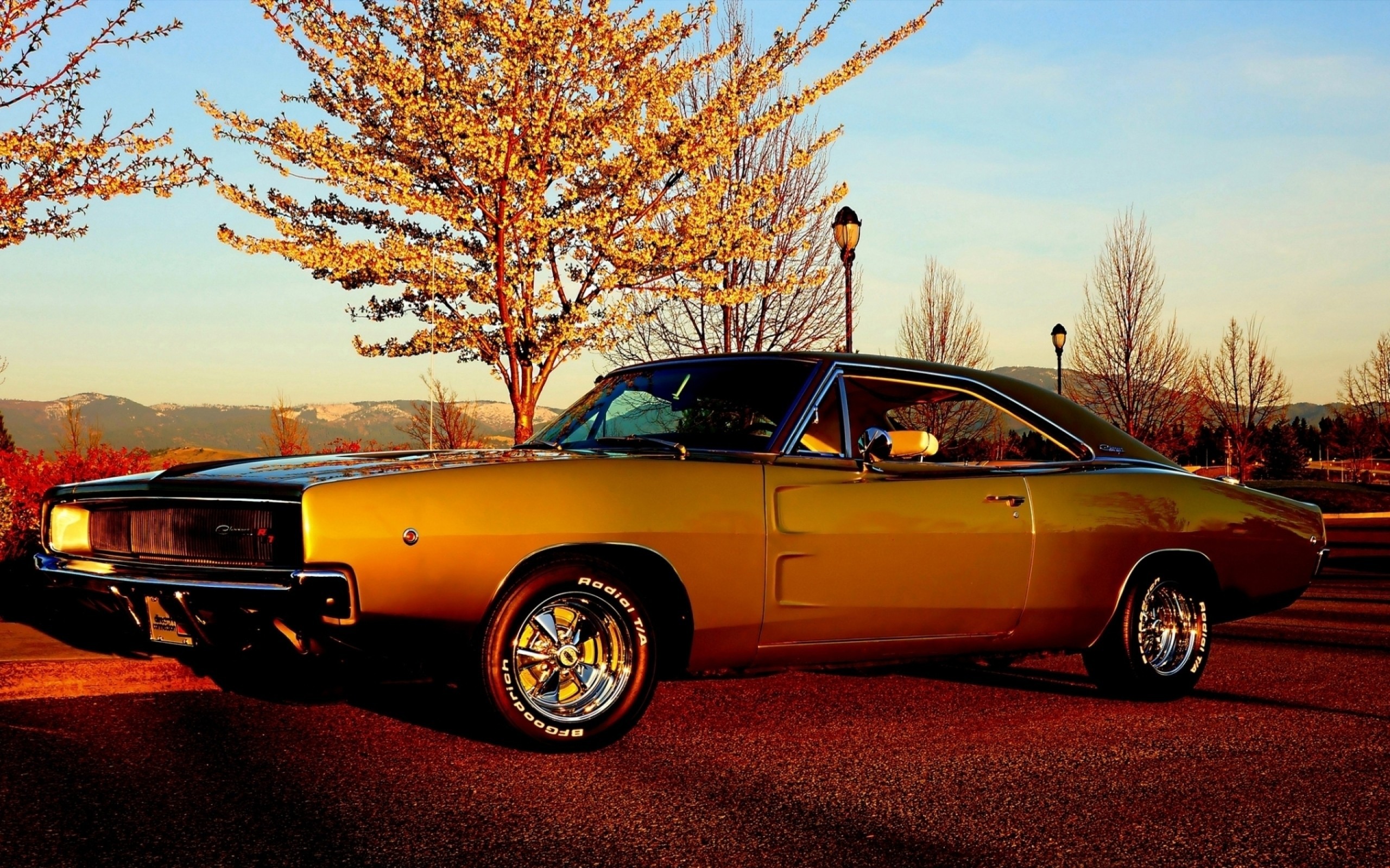Dodge Charger R T, Car Wallpaper