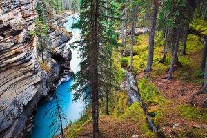 nature, Landscape, River, Canada, Forest, Grass, Trees, Cliff, Rock, Water, Erosion, Alberta
