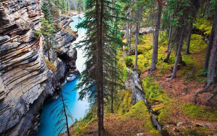 nature, Landscape, River, Canada, Forest, Grass, Trees, Cliff, Rock, Water, Erosion, Alberta HD Wallpaper Desktop Background