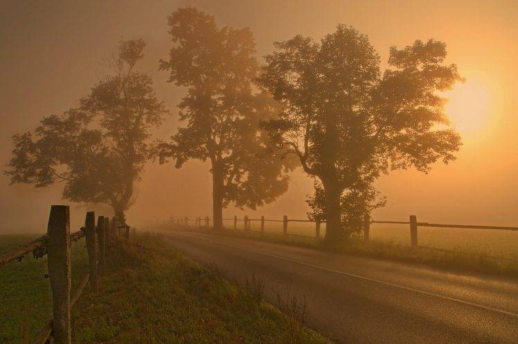 landscape, Nature, Sunrise, Fence, Morning, Road, Trees, Mist, Grass HD Wallpaper Desktop Background