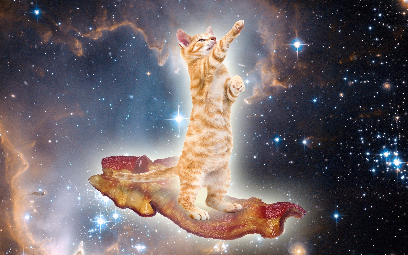 animals, Cat, Bacon, Space, Surreal Wallpaper
