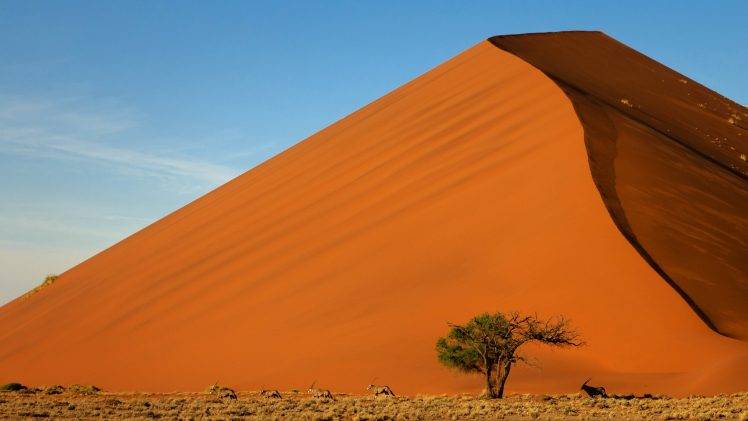 desert, Landscape, Sand, Dune, Animals HD Wallpaper Desktop Background