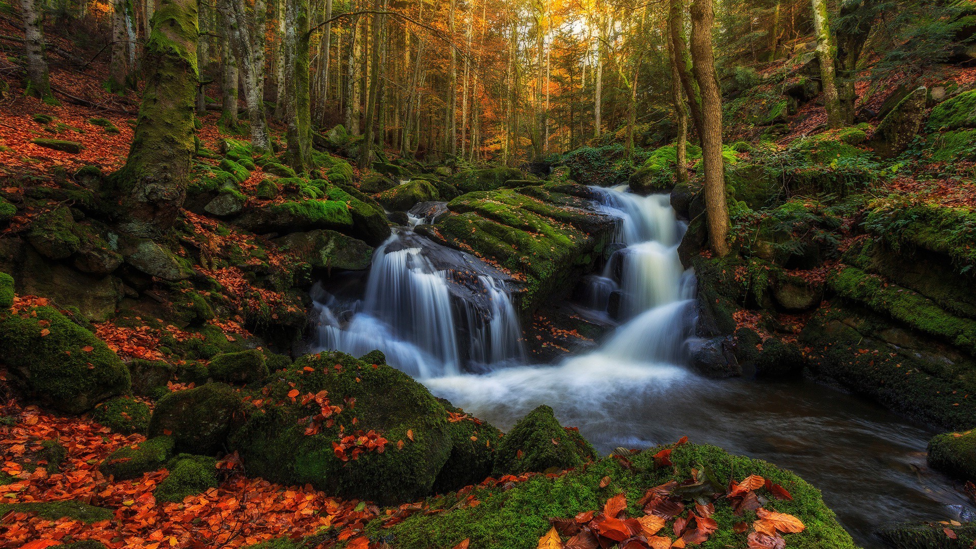 nature, Landscape, Waterfall, Forest Wallpapers HD / Desktop and Mobile