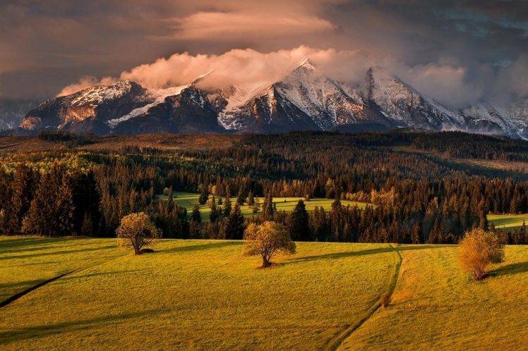 nature, Landscape, Mountain, Spring, Slovakia, Forest, Clouds, Trees, Snowy Peak, Sunset, Grass HD Wallpaper Desktop Background