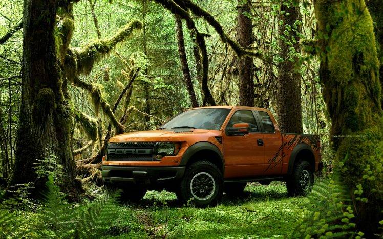 raptor, Ford, Ford USA, Orange, Trucks HD Wallpaper Desktop Background