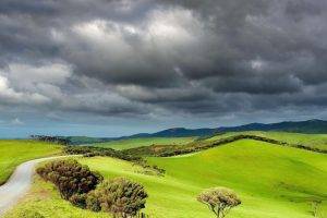 landscape, Overcast, Clouds, Field, Hill, Path, New Zealand