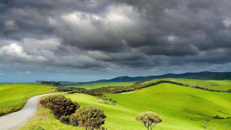 landscape, Overcast, Clouds, Field, Hill, Path, New Zealand HD Wallpaper Desktop Background